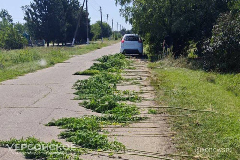 ����� ������� ������ � ������ ������������� ������