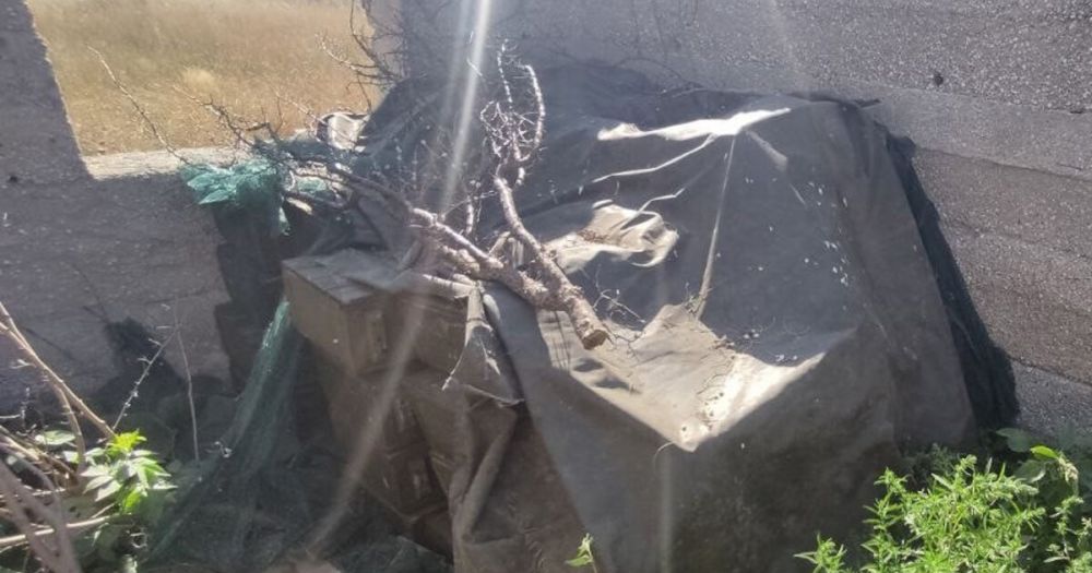 ����� � ������������ ���������� �� ����������� ����� � ���������� ������