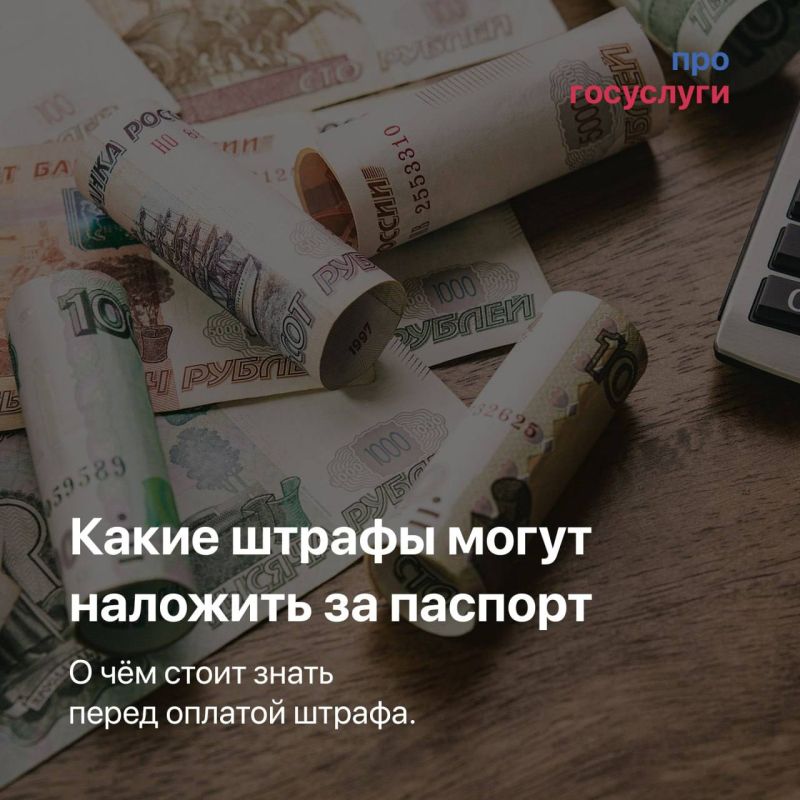 ����� ������ ����� �������� �� �������