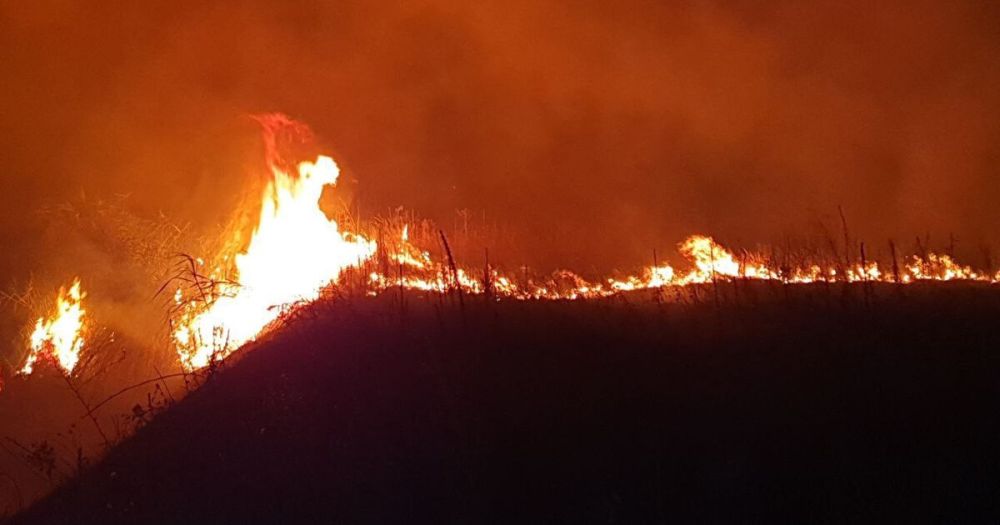 ������ ����� ��������������� �������� � ����� ������� ���������� �������