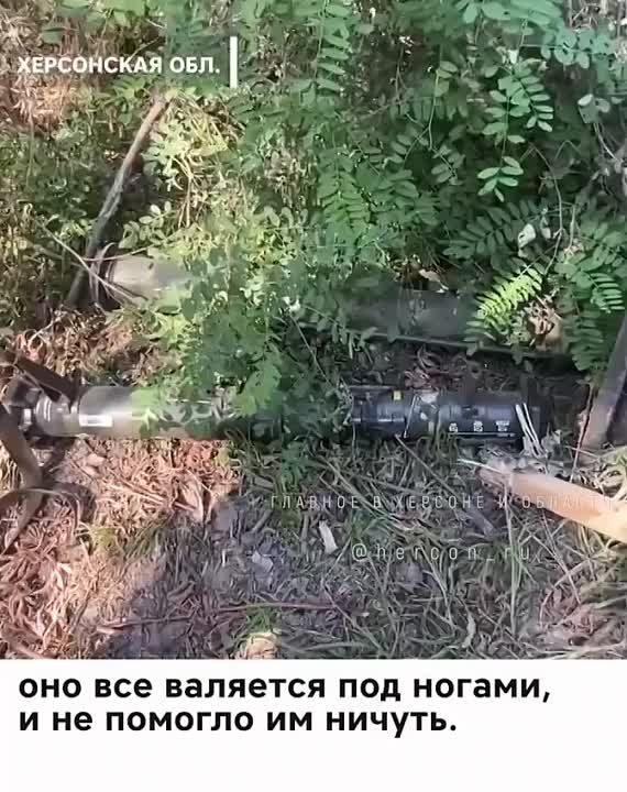 ���� ����� ���������� �������� ��� �� ����� ������ ������, ������� �������� ���������� � ������ �������� �������