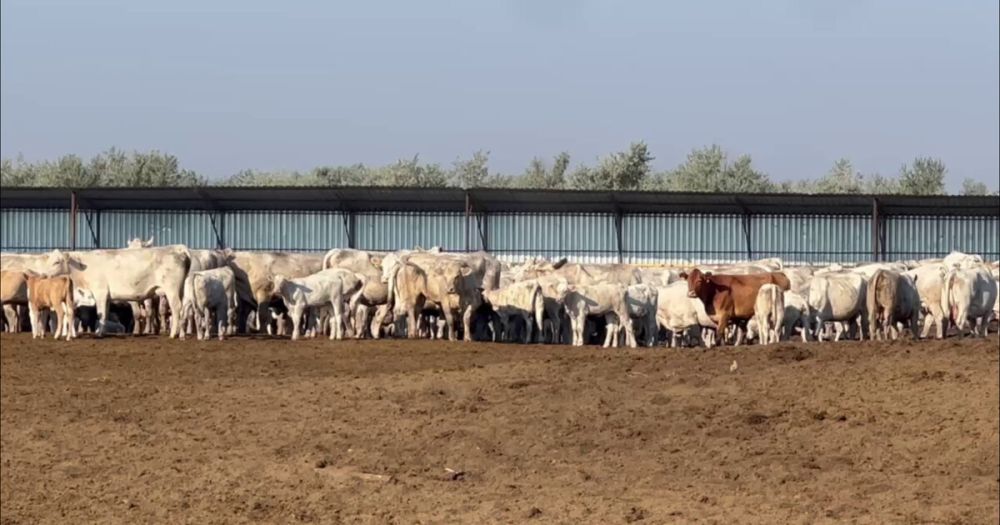 ����������� ����� � ��������������� ������ ����� �� ������