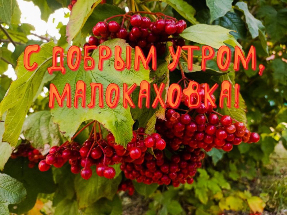 � ������ �����, �����������!