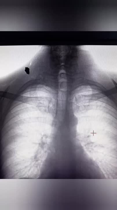 ����� ���� ������ ���������� ��������� ����������� ������ �� ����� �����������