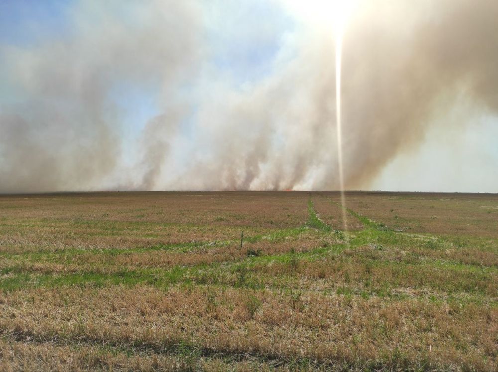 � ���������� ������� ������������� ������� ����� � ����