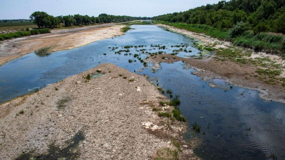 ������� ������� �����: 23 �������