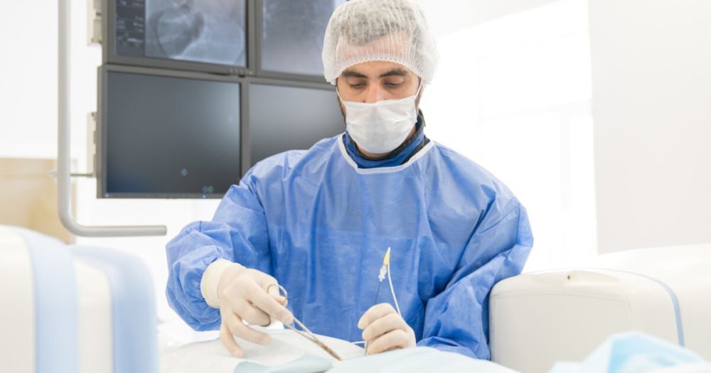 ����������� ���� ������ �������� ������� �� ����� ��������