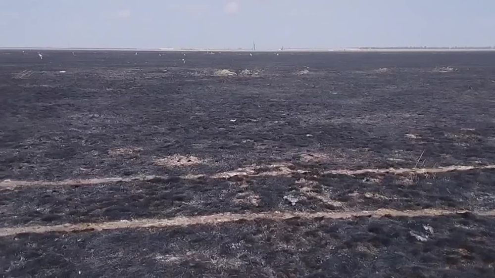 ���������� ������ ������ ������������� ��������