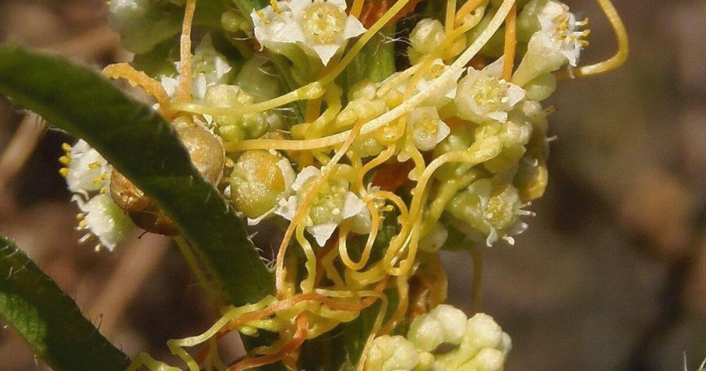 �� ���������� ���������� ��������� ���� ��������������� ��������