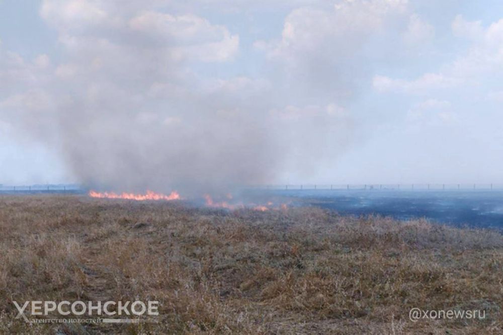 ��� �� �������� ������������� �������� � ��������-����