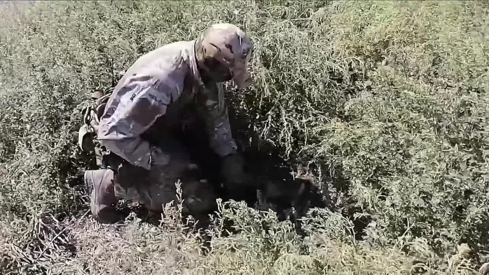 ���������� ������������ �� ������������� �����������