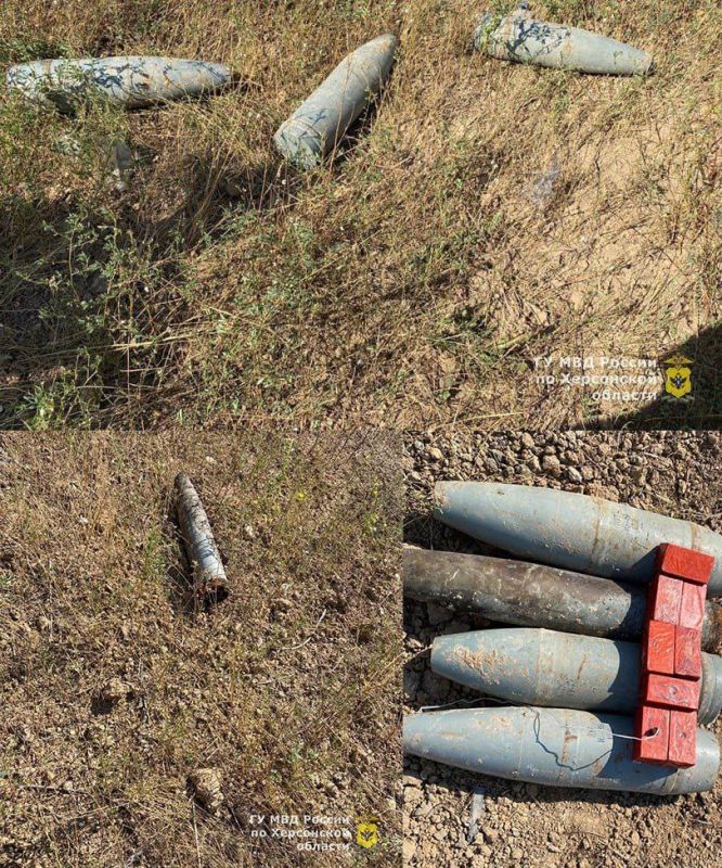 ���������� �� �������� � ���� �������� ��������������� ���������� ������ � ������������ ���