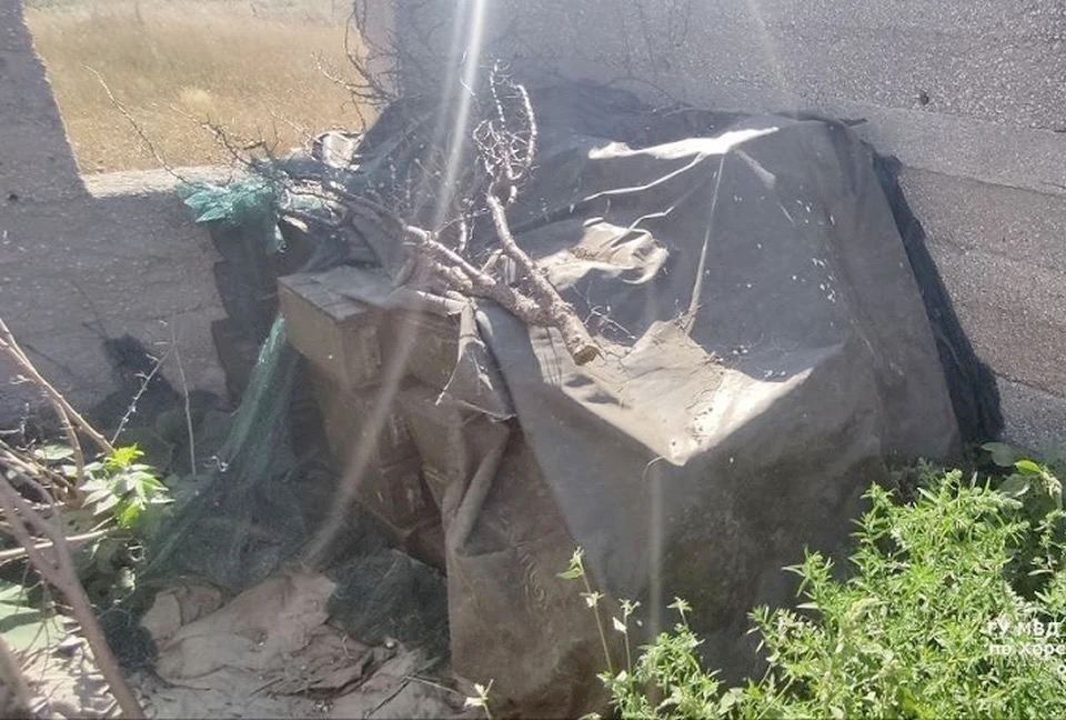 � ���������� ������� ����� �������� ����� 47 ������ �� ���������