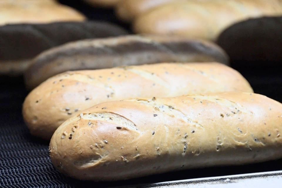 8073 ������ �������������� ������ �������� ������������ ������