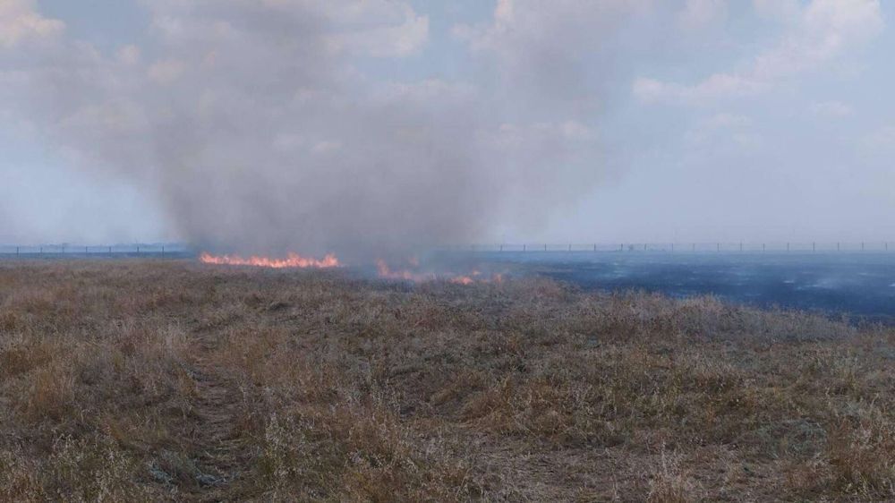 � ����������� "������� ����" ������ ����� ����� �������� �������� ���