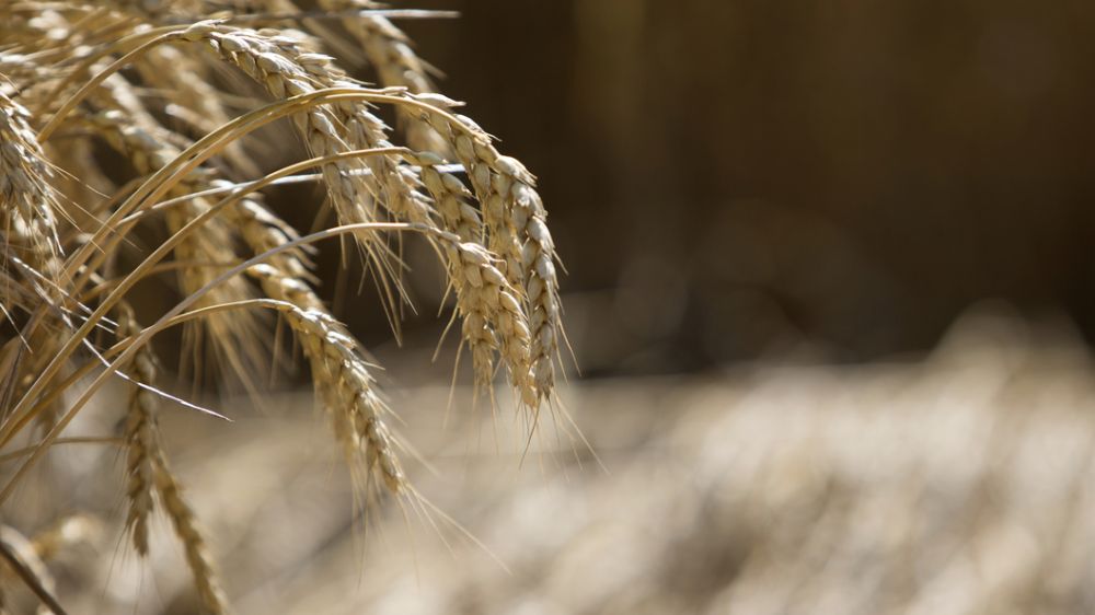 �������� ������ � ����� �������: ������ ��������� ������ ����������� �������