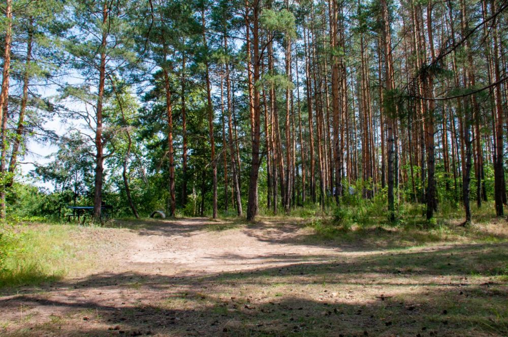 ���� �� ���������� ����������� � ������ �� ������