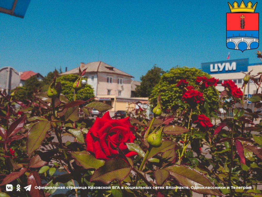 ������ ����, �������!. @VGA_Kakhovka