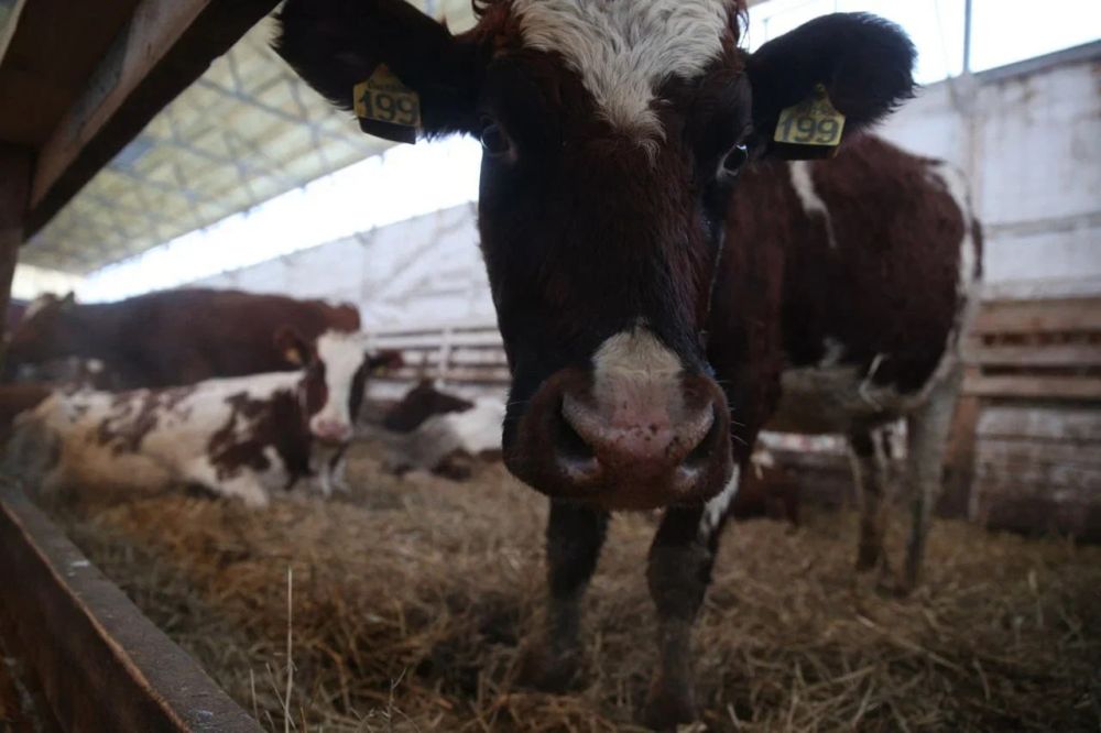 ����� �������� � ��������� �������� ���������, � ����� ���������� � ����������� �������� �������� ������ �� �������� ������� ��� ������� ��������� ��������� �� �������