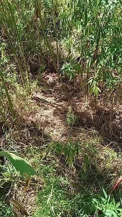 � ���� ��������� ���������� ������ ��������������� ������ � �������� ������ 5 �� ���������