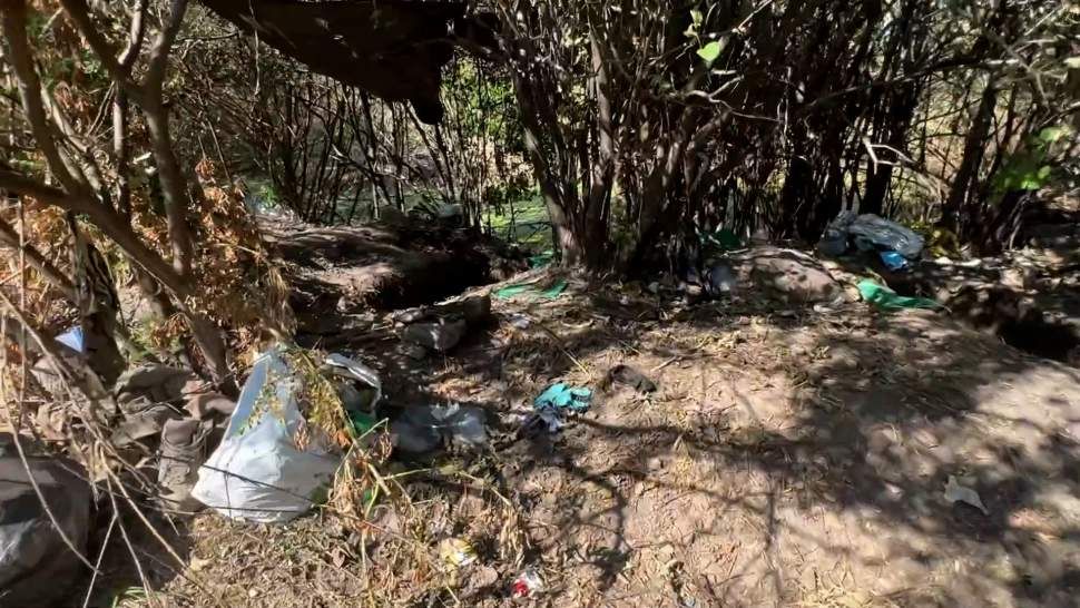 �� �� �������� ������� ��� ���������� �� ����� ������ � ���������� �������