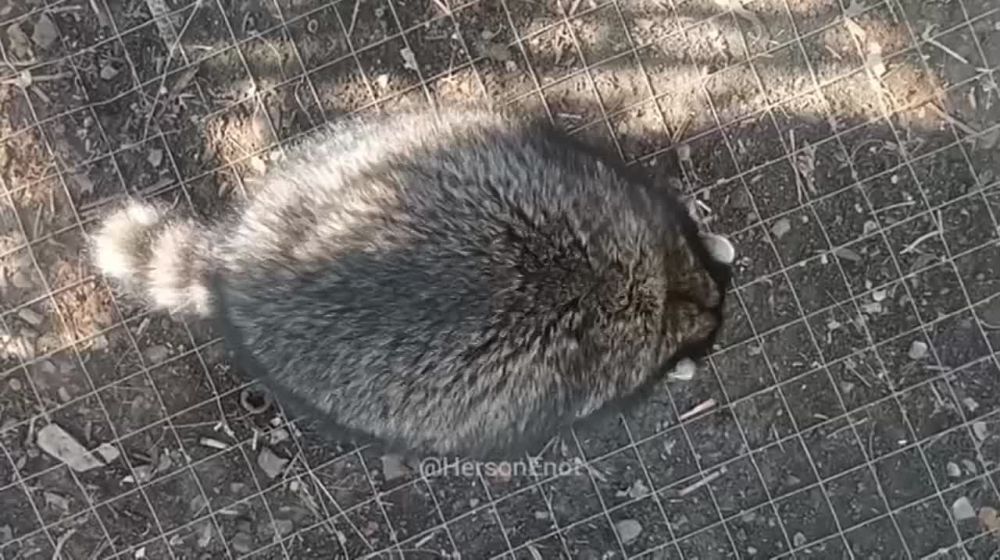 ���� �� �������: ������ ���� � �������� ���, ������!