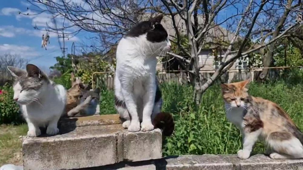 ������� �� ������ ����� ����������! � ��������� � �������������� � ������� ����������