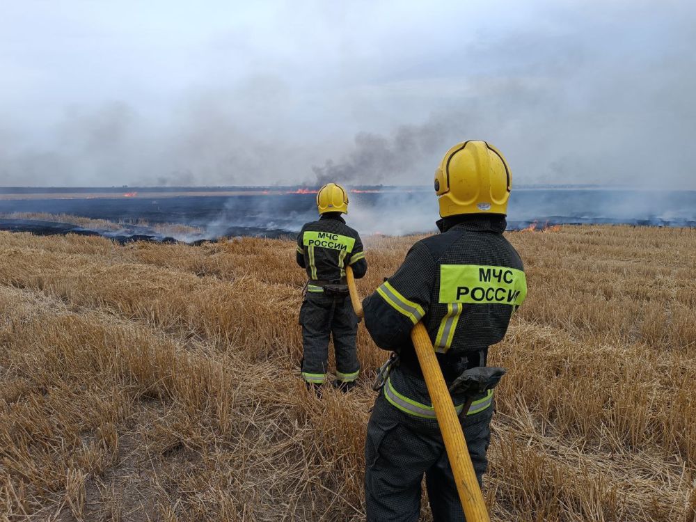 ��������� ��� ������ ���������� ������������� ������ � ���������� �������