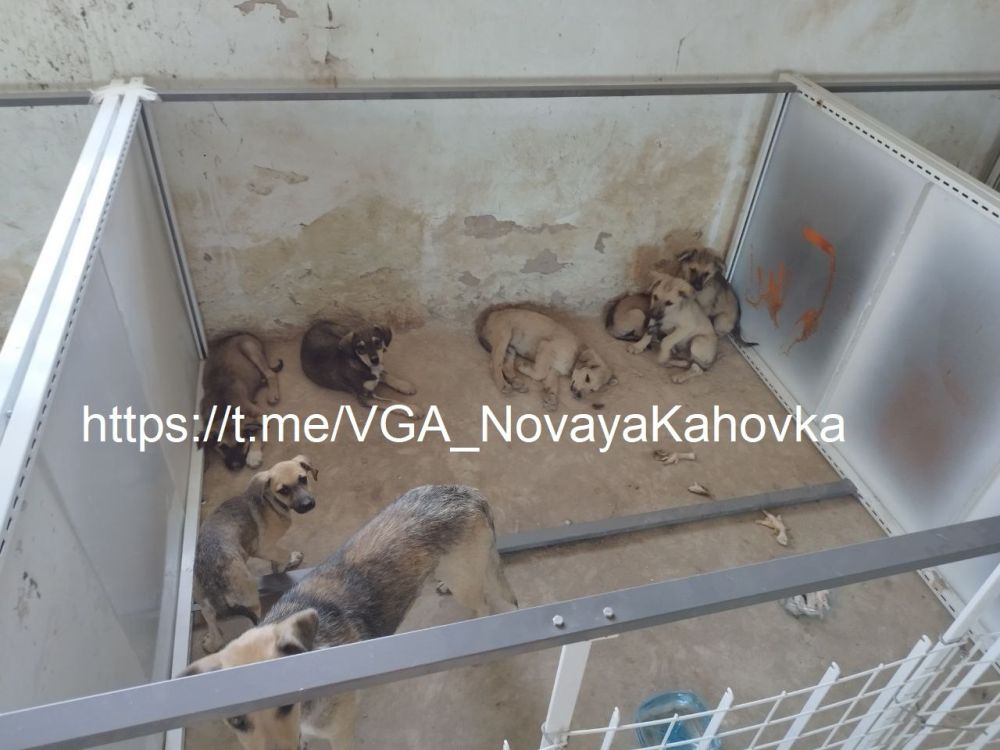 � ������������� ��������� ������ ����� �������� ����� ��� ��������� ��������