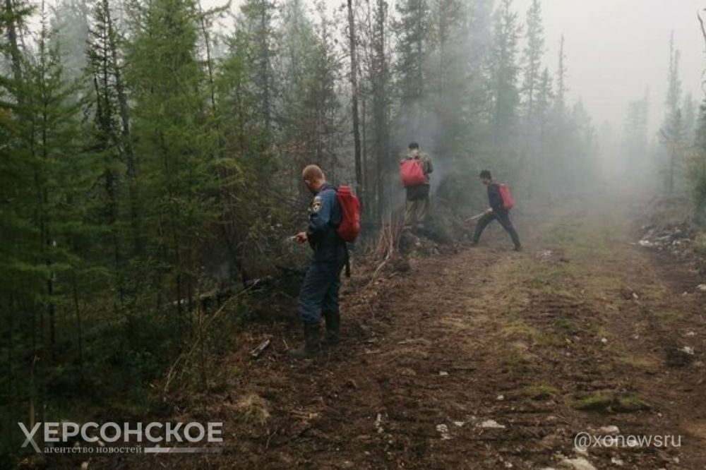 � ��� ������� ������� ��������� ������� � ���������� �������