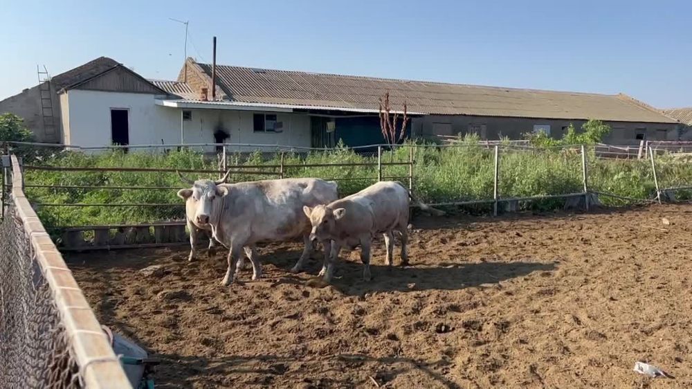 � ��������������� ������ ������� ������������� ������ ������ � �������������� ����������� ���������