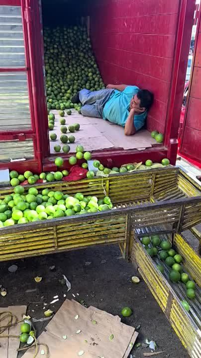 ������� ���. ���� � ��������� ���������