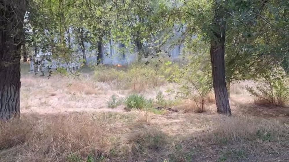 ���������� �� ������-��������� ������ ���������� ��� �������� �����