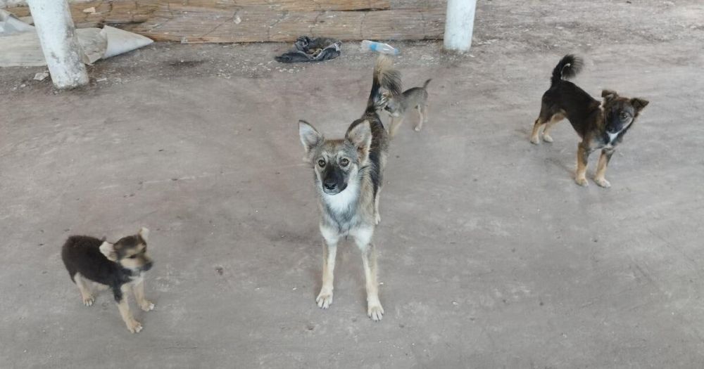 � ������������� ������ ����� ���� ������ ����� ��� ��������� ��������