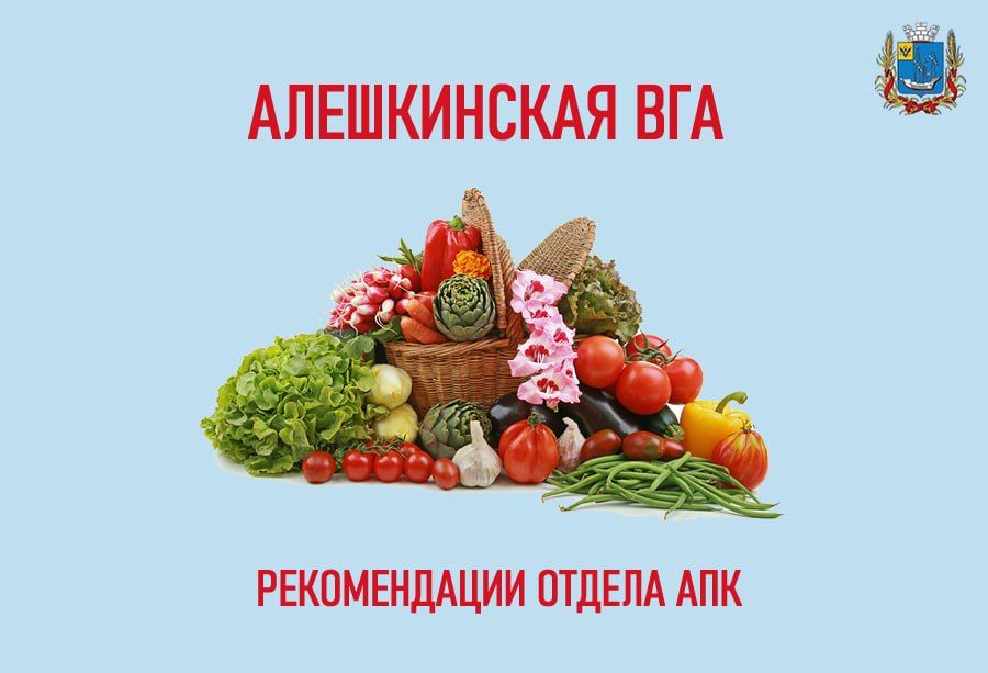 ������������!. � ����� ��������� ����������� � �������� ���������� ���������, ��������� ������������� ����������� ������������, ����� ��� ����������� ��� �����������: 1. ��������� ����������, ��� ��� ���������� ���������� �������� �����������