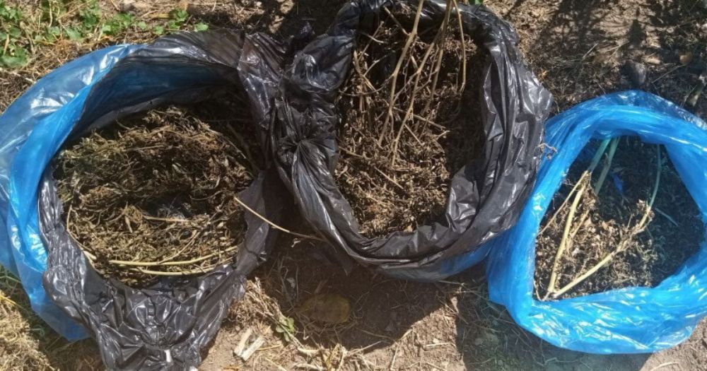 ��� ������ � ���������� ���������� � ���� ������ ���������� ������