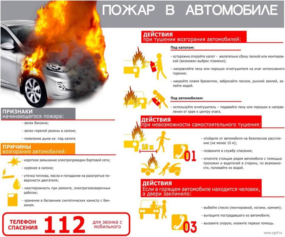 �������� ���������� ��������� ���, ������������� ������� �� ������� ��������� ������ ����������� ������������ ����������, ����������� �����������, ������������� ������ ���������� ������������� �������� ����� ����� � �������� ������� (51%)