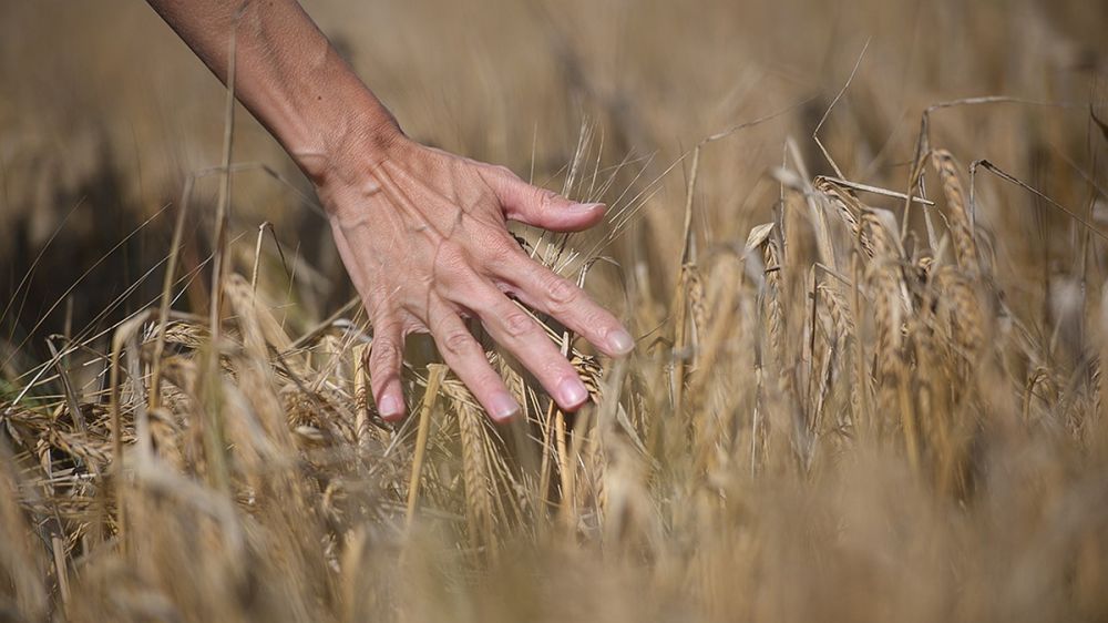 ������ ��������� ����������� �������� ��������� � �������