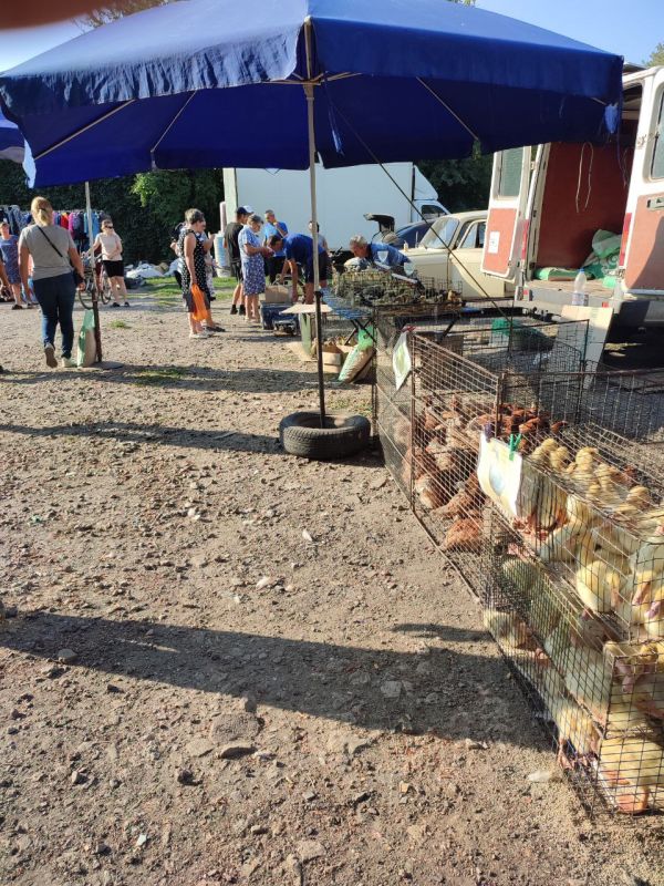 � �������� ������ ��������� �������