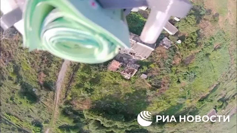 ��� ������� ��� �� �������������, ����������������� �������� � ��������, ������� � ���� �� ����������� �����������