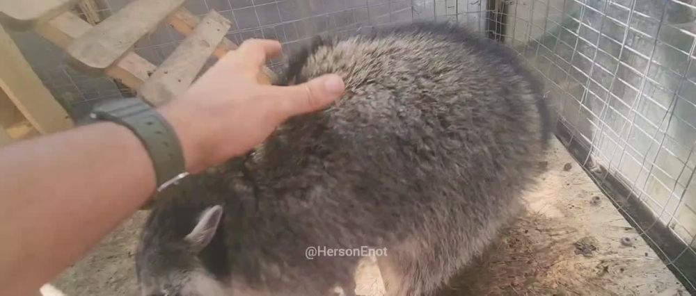 ���� �� �������: ���������� �������, ������ � ������� ��������!