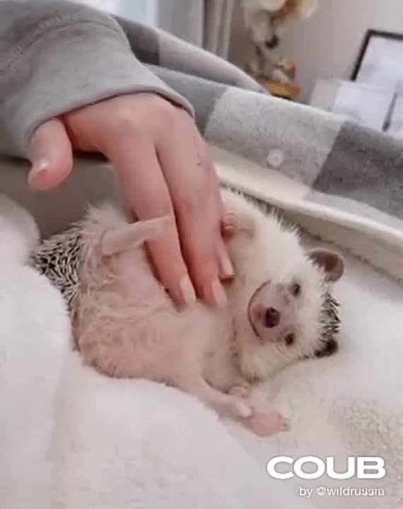 ���� ����� � ���� �����..