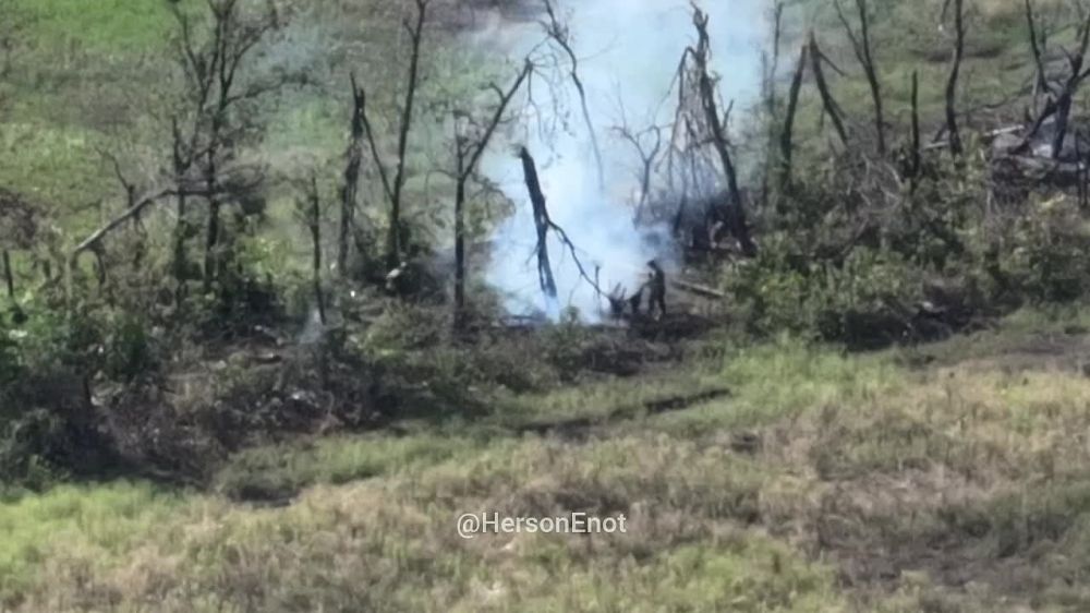 ���� �� �������: ������ ����� ��������� ������� �� ������������ �����������