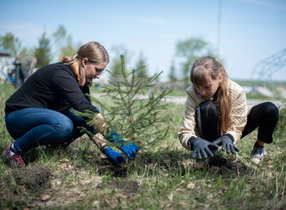 ����������� ��������� ���������� � �����