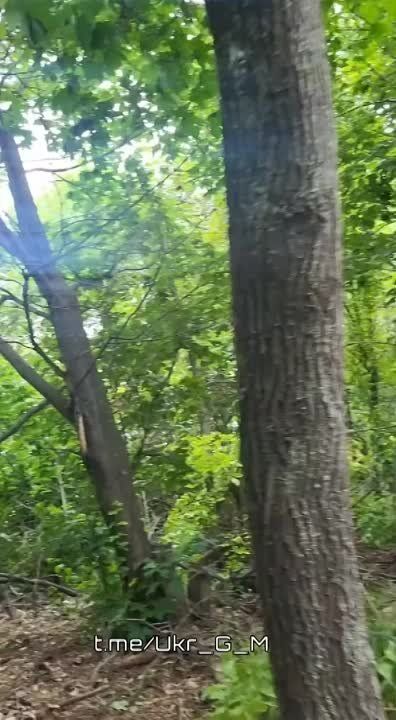 ������� �����: ���������� ������� �� ����������� ����������� �������� ���������� �� ������� ����� ������