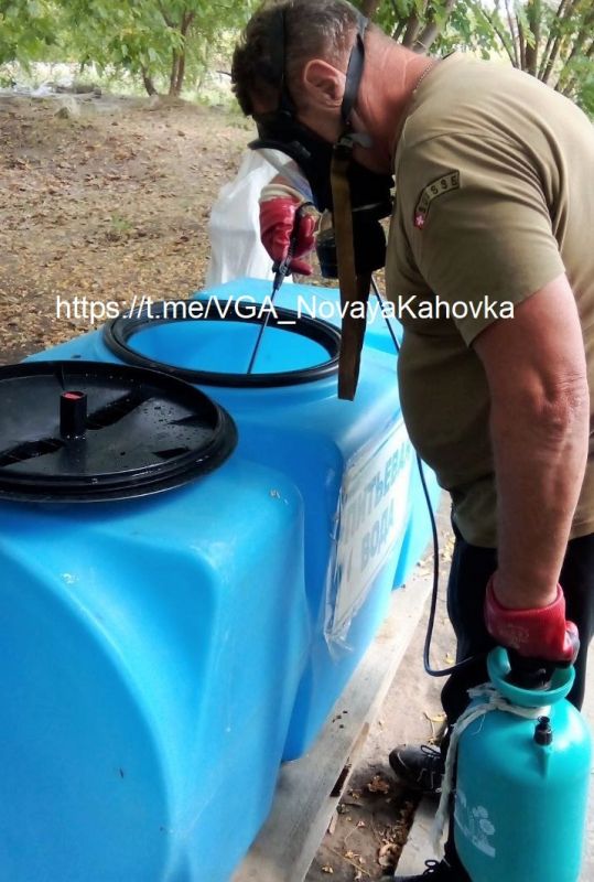 ������� ���������� ������� �������������� ���������� ������ ������������ �������� �����