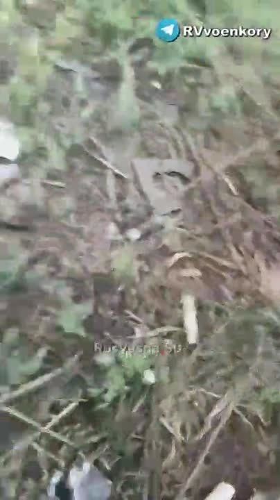 ����� ����-500 �� �������� �������� ��� � ������ ��������