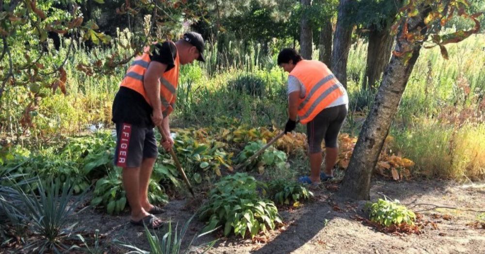 ���������� ����� � ������������� ������ ������� � ������� ����� �������� ���