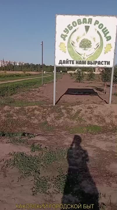 � � ���������������������� ���� ����� ��������� ������ � �������� �, �������, ��������