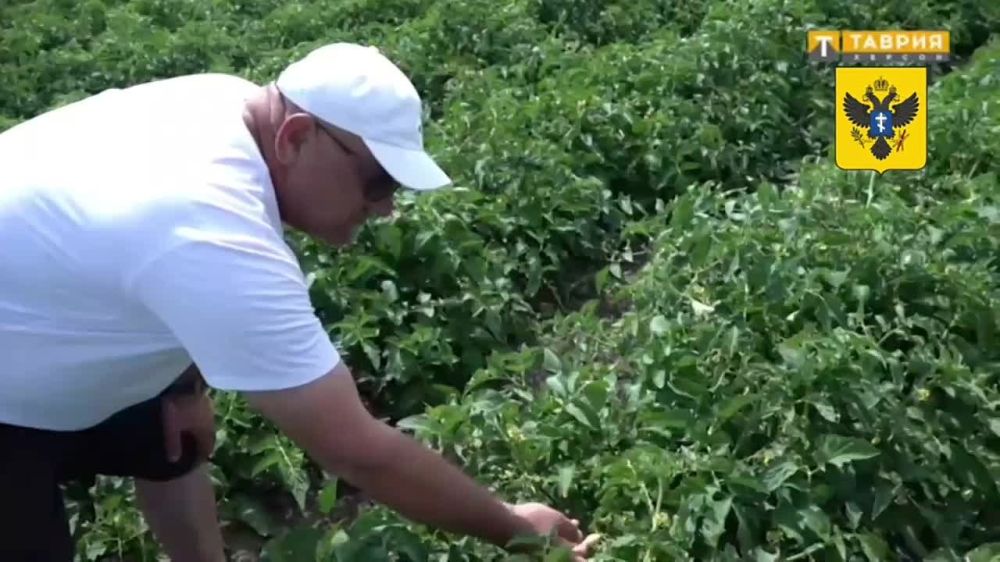 ����� ����������: ���������� �������� - ���� �� ����� �������!